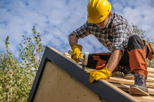 Best Steel Roofing  in On Top Of The World Designated Place, FL